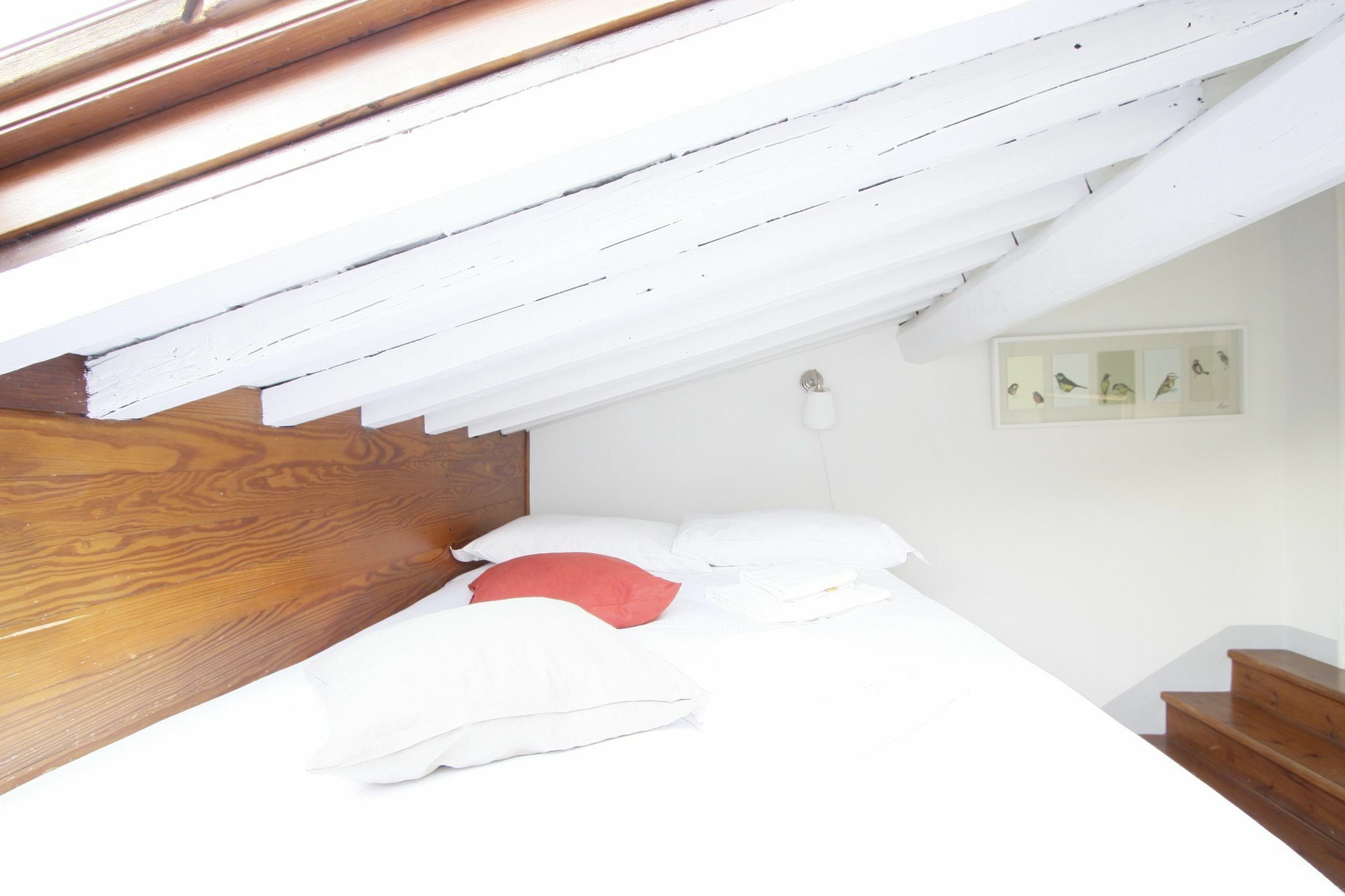 Apartamento Under The Dome Florencia Exterior foto